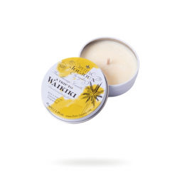 PETITS JOUJOUX ��������� ����� WAIKIKI BEACH ���� ������ 33 ��.				